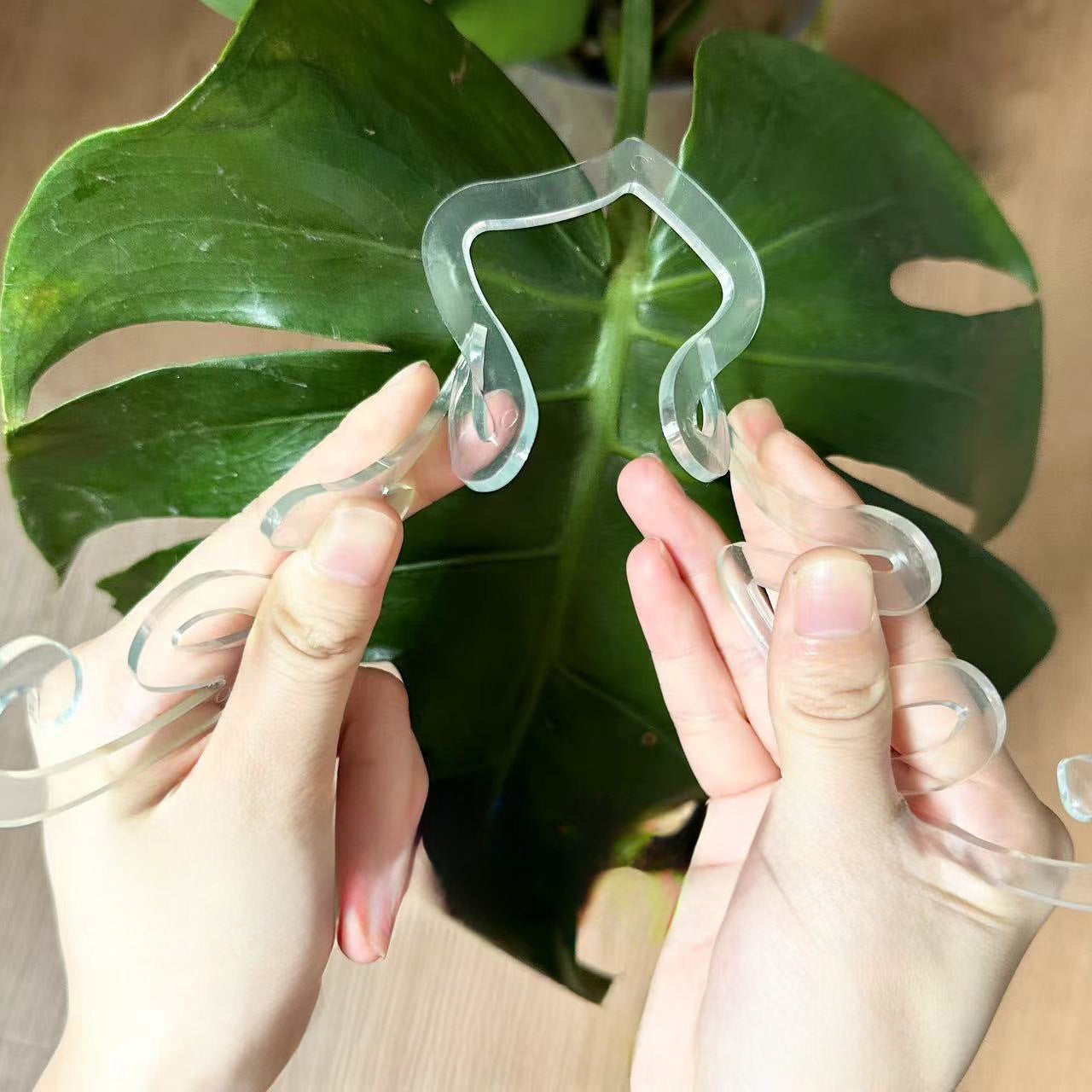 園芸支柱 フラワースタンド 透明 クリア 植木鉢 観葉植物 商品画像4