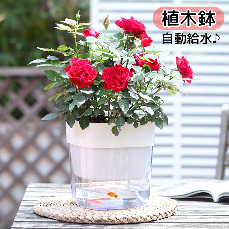植木鉢 自動給水 フラワーポット プランター 園芸 ガーデニング 観葉植物 多肉植物 植物 四角 スクエア シンプル