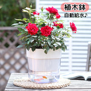 植木鉢 自動給水 フラワーポット プランター 園芸 ガーデニング 観葉植物 多肉植物 植物 四角 スクエア シンプル