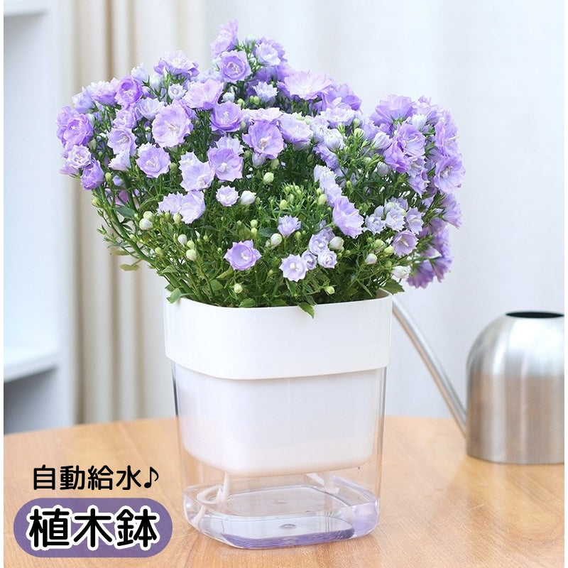 植木鉢 自動給水 フラワーポット プランター 園芸 ガーデニング 観葉植物 多肉植物 植物 四角 スクエア シンプル