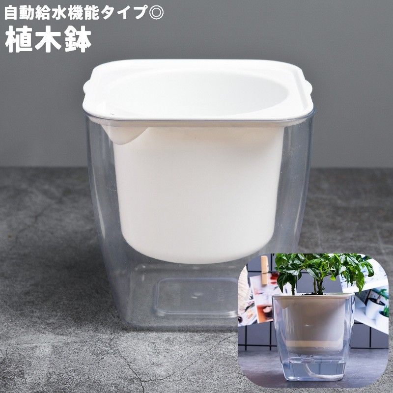 植木鉢 自動給水 フラワーポット プランター スクエア 四角形 観葉植物 多肉植物 透明 クリア シンプル かわいい おしゃれ 卓上 園芸 ガーデニング