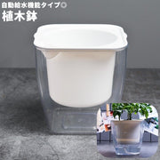 植木鉢 自動給水 フラワーポット プランター スクエア 四角形 観葉植物 多肉植物 透明 クリア シンプル かわいい おしゃれ 卓上 園芸 ガーデニング