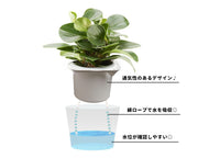 植木鉢 自動給水 フラワーポット プランター スクエア 四角形 観葉植物 多肉植物 透明 クリア シンプル かわいい おしゃれ 卓上 園芸 ガーデニング