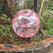 自動給水キャップ 自動水やり器 球体 ボール セラミック 植木鉢 植物 室内 自動散水用具 ガーデニング用品 水切れ対策 園芸 観葉植物 ガーデニング 家庭菜園 シンプル 旅行 留守 出張