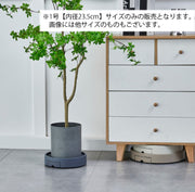 植木鉢台 内径23.5cm キャスター付き 排水 トレイ 貯水トレイ プランタースタンド 鉢台 鉢置き 鉢受台 鉢皿 鉢植え台 受け皿 水受け 円形 丸型 ラウンド サークル 貯蔵 台車 便利 移動可能