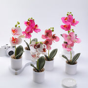 造花 フェイクフラワー 鉢植え付き 花 フラワー 鉢花 花飾り 胡蝶蘭 アーティフィシャルフラワー アートフラワー インテリア雑貨 フラワーアレンジメント 人工 枯れない 葉 リーフ プレゼント 贈り物 リビング 玄関 おしゃれ かわいい