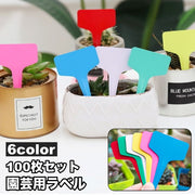 園芸用ラベル 100枚セット フラワーカード ガーデニング 花壇 植木鉢 プランター 苗木 花 育苗 播種 植物 管理 カラフル 無地 シンプル