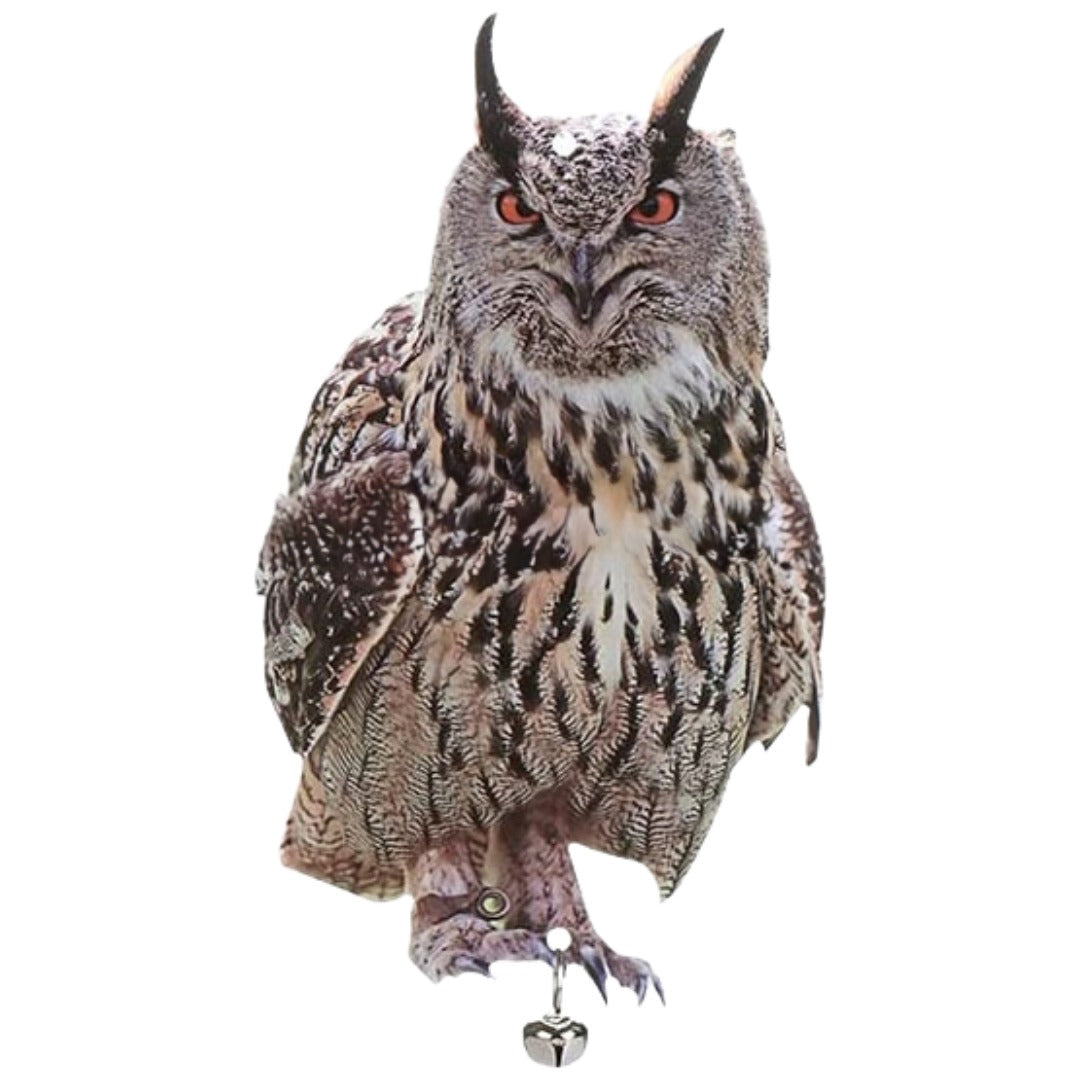 鳥よけボード 鳥よけ 防鳥 リアル フクロウ 梟 鳥避けグッズ 鳩よけ カラスよけ 鳥害対策 ベランダ ミミズク 吊り下げ式 鈴付き 大きめ 大きい カラー
