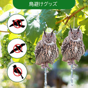 鳥よけボード 鳥よけ 防鳥 リアル フクロウ 梟 鳥避けグッズ 鳩よけ カラスよけ 鳥害対策 ベランダ ミミズク 吊り下げ式 鈴付き 大きめ 大きい カラー