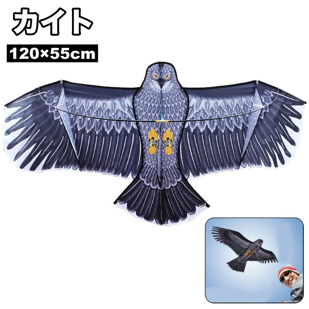 凧 カイト 凧揚げ シングルカイト イーグルカイト 鷹 商品画像