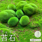 フェイク苔石 5個セット 苔玉 石 岩 コケリウム テラリウム ふさふさ 草 緑 人工植物 フェイクグリーン イミテーション リアル インテリアアイテム