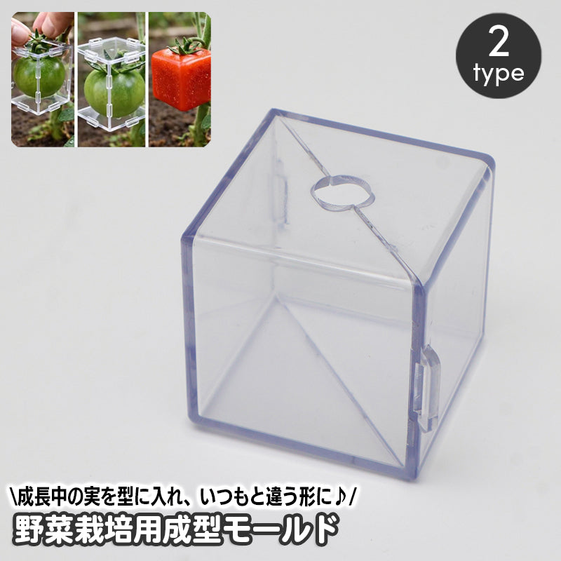 野菜栽培用成型モールド 形成型 形作りケース 家庭菜園 ガーデニング 園芸用品 農業用品 育成 デコレーション 野菜作り 成長形成ツール 成長途中 形を変えられる 容器