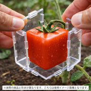 野菜栽培用成型モールド 形成型 形作りケース 家庭菜園 ガーデニング 園芸用品 農業用品 育成 デコレーション 野菜作り 成長形成ツール 成長途中 形を変えられる 容器