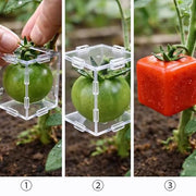 野菜栽培用成型モールド 形成型 形作りケース 家庭菜園 ガーデニング 園芸用品 農業用品 育成 デコレーション 野菜作り 成長形成ツール 成長途中 形を変えられる 容器