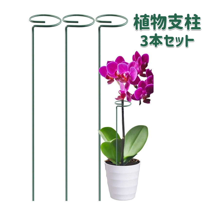 植物支柱 3本セット 園芸用支柱 40cm ガーデニング用具 無地 商品画像