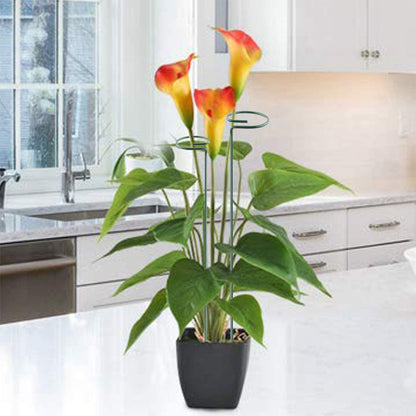 植物支柱 3本セット 園芸用支柱 40cm ガーデニング用具 無地 商品画像2