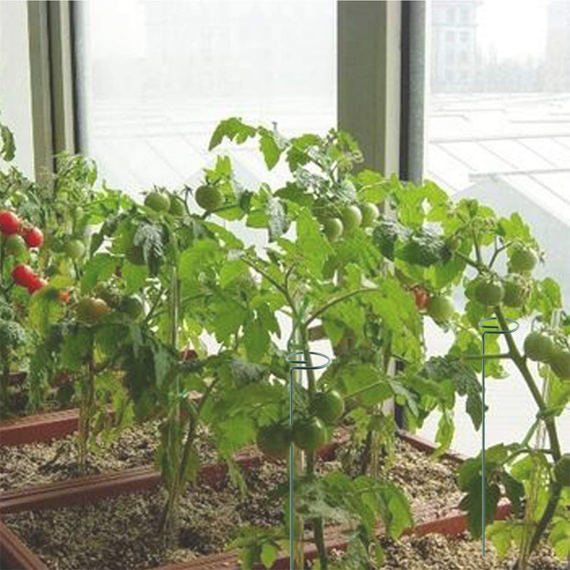 植物支柱 3本セット 園芸用支柱 40cm ガーデニング用具 無地 商品画像5