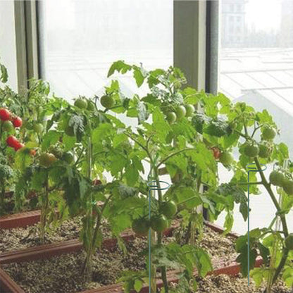 植物支柱 3本セット 園芸用支柱 40cm ガーデニング用具 無地 商品画像5