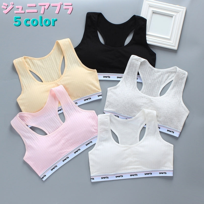 ジュニアブラ キッズ ジュニア インナー 女の子 女児 商品画像