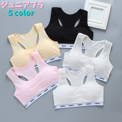 ジュニアブラ キッズ ジュニア インナー 女の子 女児 商品画像