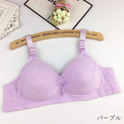 ブラジャー フルカップブラ レディース 女性 インナー 下着 ノンワイヤー 幅広 3段ホック 背中開き バックオープン 刺繍 無地 ダークグレー ベージュ シンプル 可愛い キュート