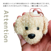 キーホルダー キーリング 犬 ドッグ バッグチャーム キーチャーム モコモコ トイプードル トイプー レディース 女性 わんちゃん かわいい プレゼント ギフト