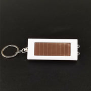 懐中電灯 ソーラー充電式 LED リチウム ミニライト キーホルダー コンパクト 小型 持ち運び 軽量 防災グッズ 屋外 室内 照明器具 シンプル 便利グッズ