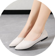 パンプス フラットパンプス ローヒール ぺたんこ 靴 ポインテッドトゥ スエード調 レディース 女性 無地 シンプル おしゃれ カジュアル きれいめ シューズ