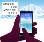 手袋 スマホ対応 スマートフォン対応 てぶくろ 裏起毛 5本指 レディース グローブ タッチパネル対応 防寒 寒さ対策 暖かい あったかい 保温 冬 お出かけ 外出 飾りボタン おしゃれ きれいめ 女性用 婦人用 黒 灰色