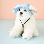 ペット用帽子 ペット用ハット 小型犬 中型犬 猫 ネコ 小動物 ペットグッズ ペット雑貨 あごひも付き マーブル模様 マーブル柄 ピンク ブルー イエロー シンプル カジュアル かわいい キュート おしゃれ お散歩 お出かけ