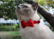 猫用首輪 セーフティバックル カラー リボン付 くびわ チョーカー 蝶ネクタイ 鈴付き 無地 シンプル ねこ 愛猫 ネコ用品 ペットグッズ おめかし 可愛い おしゃれ