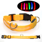首輪  光る首輪 LED 犬 猫 イヌ ネコ ペット用品 お散歩 早朝 夜間 安全対策 電池式 ペットグッズ