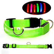 首輪  光る首輪 LED 犬 猫 イヌ ネコ ペット用品 お散歩 早朝 夜間 安全対策 電池式 ペットグッズ