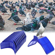 鳩スタンド 止まり木 単品 1個 ペットグッズ 鳥用品 鳥用 休息 休憩 吊り下げ フレーム スタンド ラック プラスチック製 鳩 鳥 裏庭 屋外
