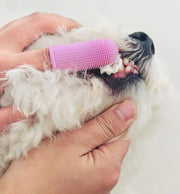 ペット用歯ブラシ 指サックタイプ 歯ブラシ 指歯ブラシ 口腔ケア 犬 猫 ドッグ キャット ペット用品 ペットグッズ ソフト やわらか 便利 水洗い