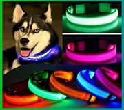 首輪 光る 発光 LEDライト 電池式 犬 猫 ペット用品 お散歩グッズ 夜間 夜道 安全対策 事故防止 点滅 点灯 サイズ調整
