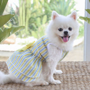 ドッグウェア ペットウェア ワンピース ドレス 犬の服 犬服 猫の服 キャットウェア 洋服 ペット用品 小型犬  ノースリーブ 袖なし リボン ギンガムチェック柄 ストライプ お散歩 お出かけ おしゃれ かわいい いぬ 猫 ねこ