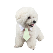ペット用ネクタイ 犬 猫 イヌ ネコ ペット用品 ペットネクタイ 襟付き 面ファスナー マジック テープ コスプレ 衣装 仮装 結婚式 お呼ばれ 誕生日 ハロウィン かわいい かっこいい おしゃれ