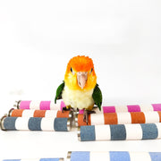 止まり木 爪とぎパーチ 爪とぎ 爪磨き 足場 ペット用品 小鳥 オウム インコ 洗える ケージ用 簡単設置 スタンドロッド ケージスタンド