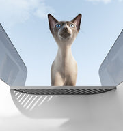 猫用トイレ キャットトイレ 長方形 猫砂用トレー ねこ CAT トイレタリー用品 飛び散り防止 砂取り板付 砂トイレ ペット用品 シンプル ホワイト グレー ネイビー