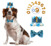 お誕生日お祝いセット ドックウェア 帽子 ペット用品 犬 猫 王冠 蝶ネクタイ リボン スカート 数字プレート 記念撮影 お誕生日会 やわらかい