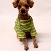 ドッグウエア ペットウエア 犬 犬服 洋服 Tシャツ ボーダー ストライプ しましま レッド グリーン 黄緑 春夏 かわいい おしゃれ