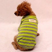 ドッグウエア ペットウエア 犬 犬服 洋服 Tシャツ ボーダー ストライプ しましま レッド グリーン 黄緑 春夏 かわいい おしゃれ