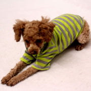ドッグウエア ペットウエア 犬 犬服 洋服 Tシャツ ボーダー ストライプ しましま レッド グリーン 黄緑 春夏 かわいい おしゃれ