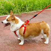 ハーネス リード 2点セット ペット用品 犬用 ドッグ リーシュ 胴輪 散歩紐 牽引紐 シンプル おしゃれ お出かけ お散歩 イヌ いぬ