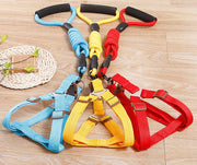 ハーネス リード 2点セット ペット用品 犬用 ドッグ リーシュ 胴輪 散歩紐 牽引紐 シンプル おしゃれ お出かけ お散歩 イヌ いぬ