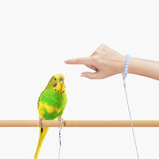 鳥用 足環付きリード 3m トリ散歩 足輪 フットリング アンクレット付 リーシュ フライングロープ リストストラップ付 外出 迷子防止 ロスト対策 ペット用品 鳥用品 バードリード ブルー ピンク グリーン