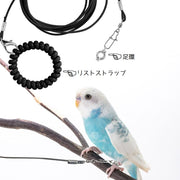 鳥用 足環付きリード 3m トリ散歩 足輪 フットリング アンクレット付 リーシュ フライングロープ リストストラップ付 外出 迷子防止 ロスト対策 ペット用品 鳥用品 バードリード ブルー ピンク グリーン