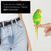 鳥用 足環付きリード 3m トリ散歩 足輪 フットリング アンクレット付 リーシュ フライングロープ リストストラップ付 外出 迷子防止 ロスト対策 ペット用品 鳥用品 バードリード ブルー ピンク グリーン