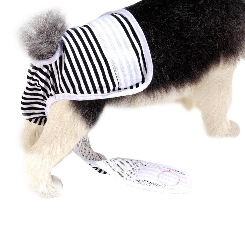 ペット用サニタリーパンツ ペット用生理ショーツ マナーパンツ イヌ 小型犬 中型犬 商品画像3